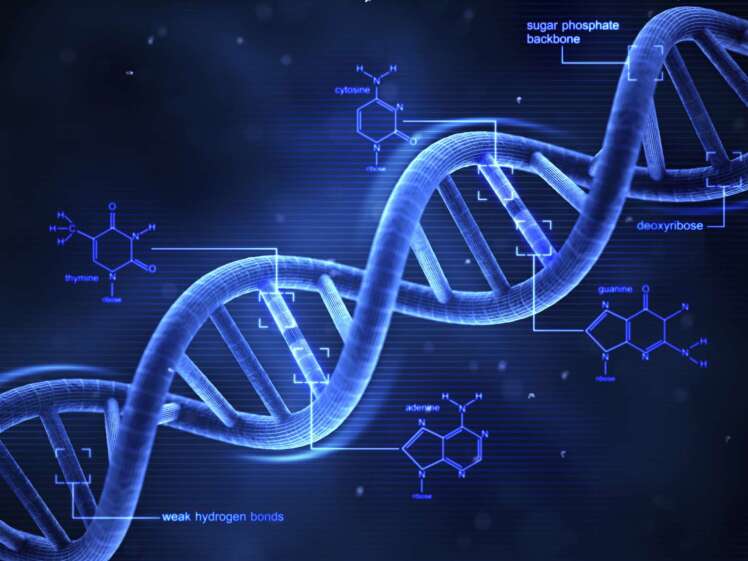 DNA چیست و چه تاثیری بر سلامتی دارد؟